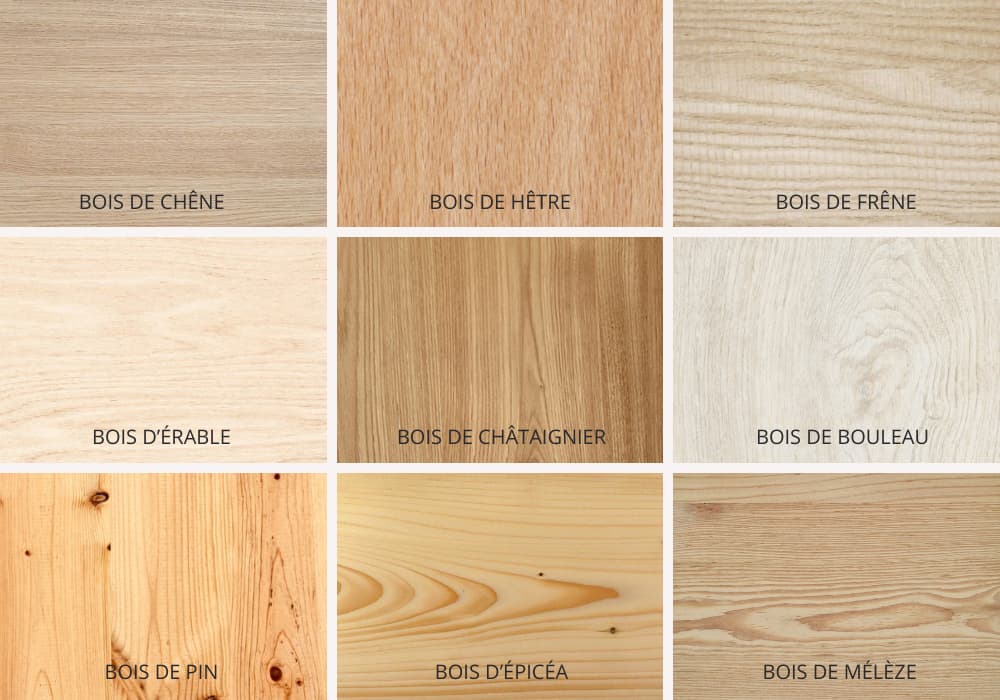 Les essences de bois